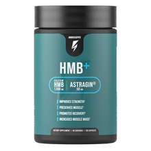 ギャラリービューアに画像をロードします、HMB+